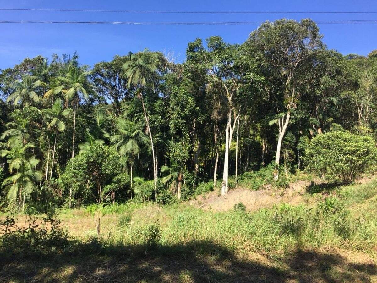 Terreno à venda no bairro Centro: 